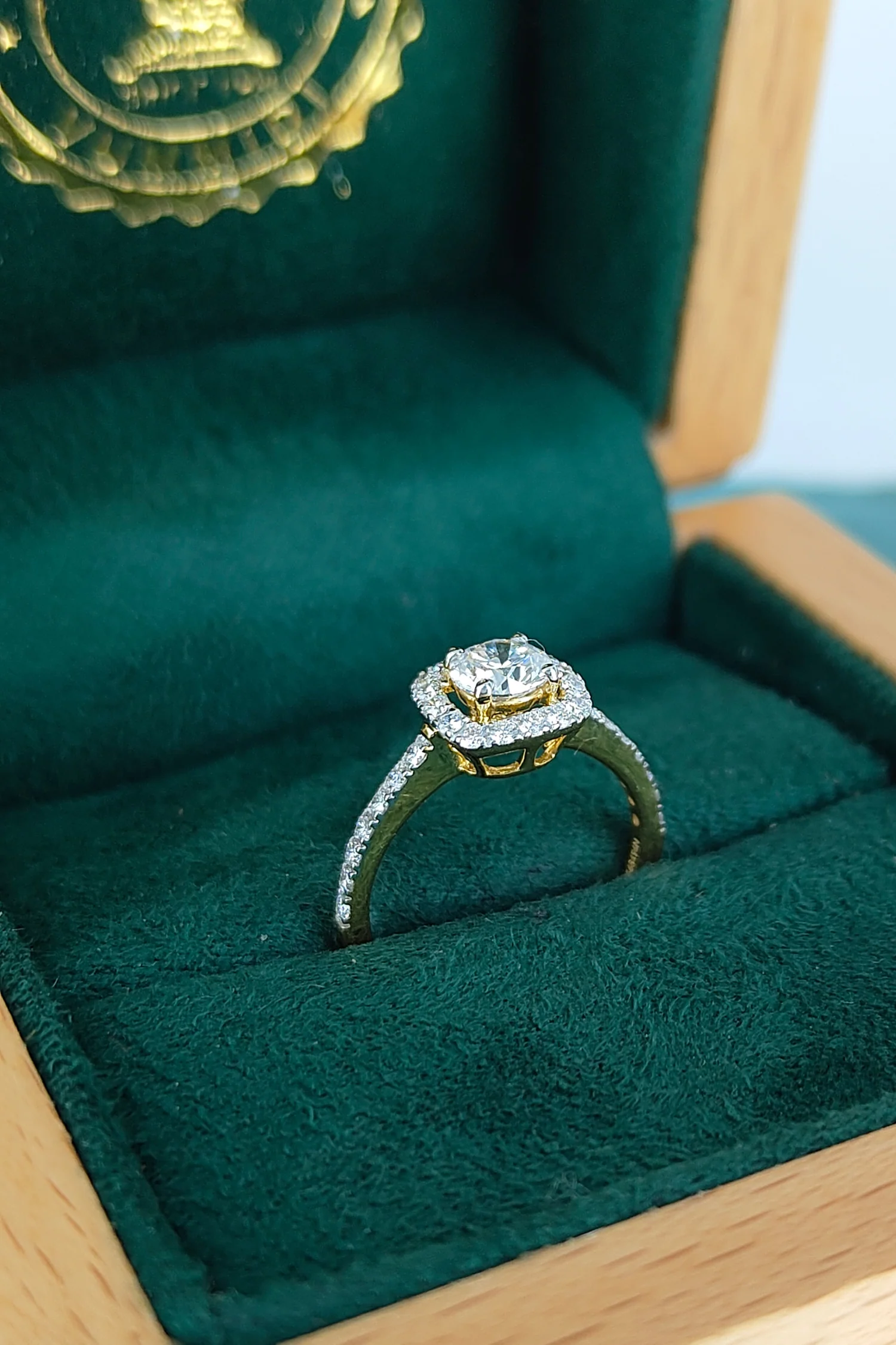 Rosalinda with Round Brilliant Solitaire and Halo on a Pave Ring - Image 3